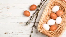 9 мифов и фактов о яйцах: о пользе, вреде, хранении и приготовлении