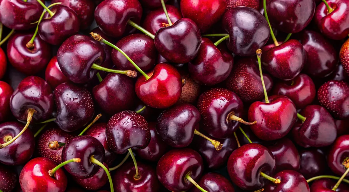 Станет деликатесом? Эксперт предсказала, сколько будет стоить черешня летом 2025 года