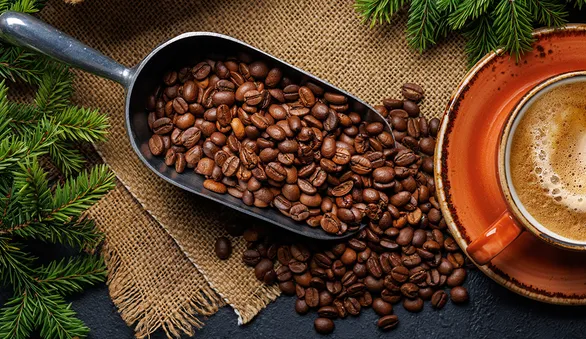 Где и как растет кофе: кофейный пояс и главные страны-производители