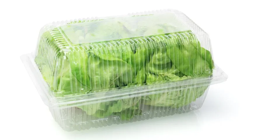Мытые салатные листья нужно хранить в закрытом контейнере на нижней полке холодильника
