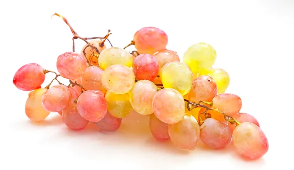 Виноград Тайфи