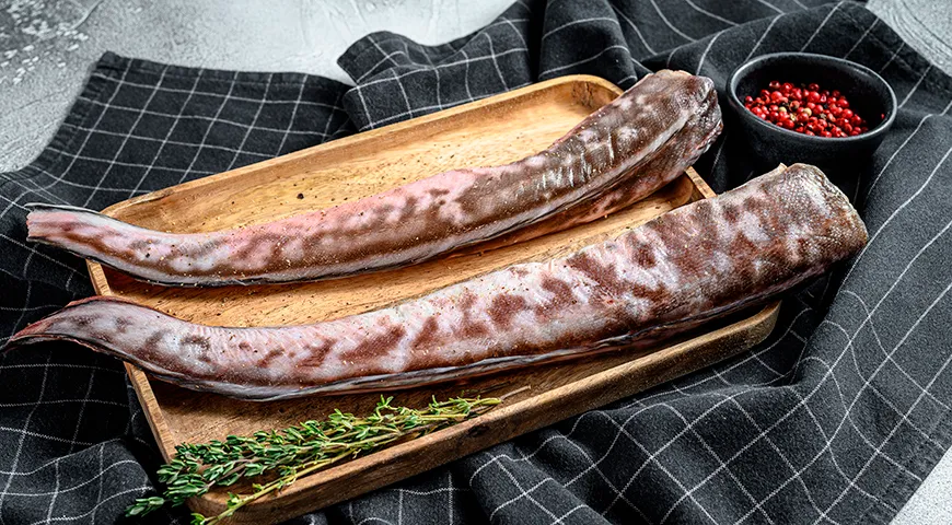 Конгрио является ценным источником легкоусвояемого белка, витаминов группы B и селена