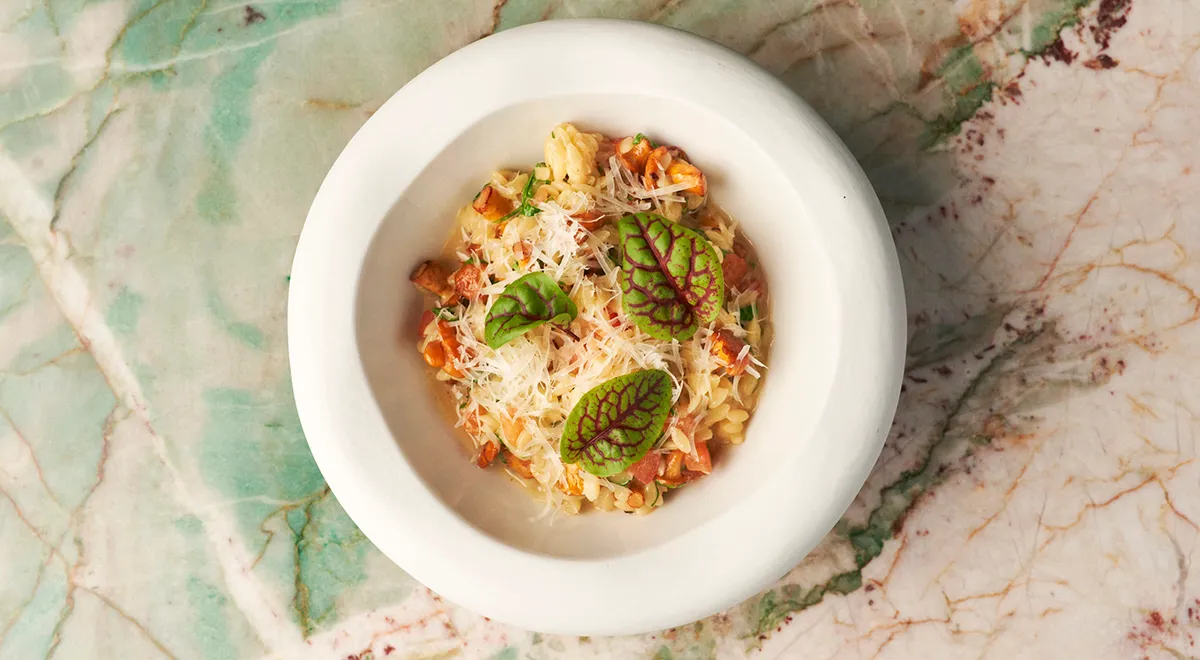 Рецепт пасты орзо с лисичками и томатами конкассе 