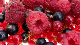 Малина или смородина: врач рассказала, какая ягода полезнее