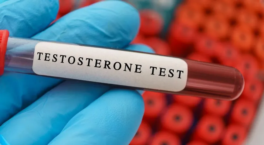 Тестостерон вырабатывается в организме мужчины на протяжении всей его жизни