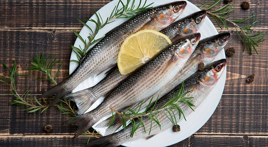 Уникальная особенность пеленгаса — способность жить как в соленой, так и в пресной воде