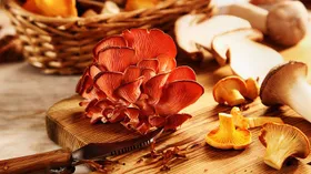 В Москве открывается монопродуктовый ресторан Mushrooms