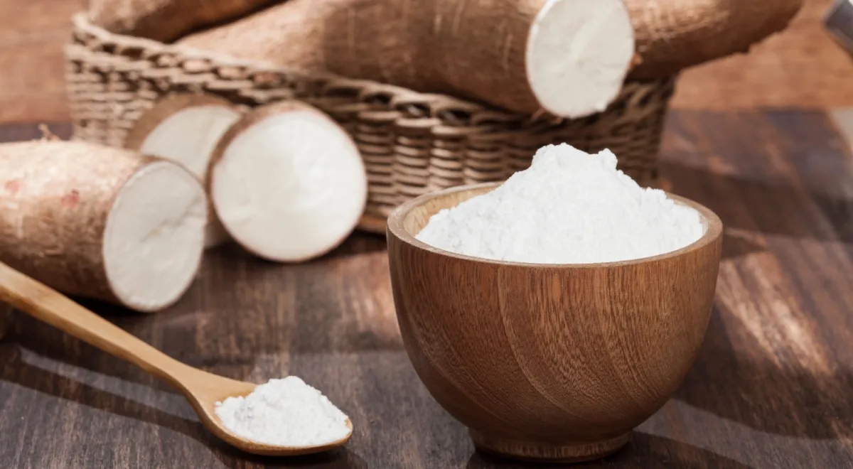 Корень маниоки и тапиока