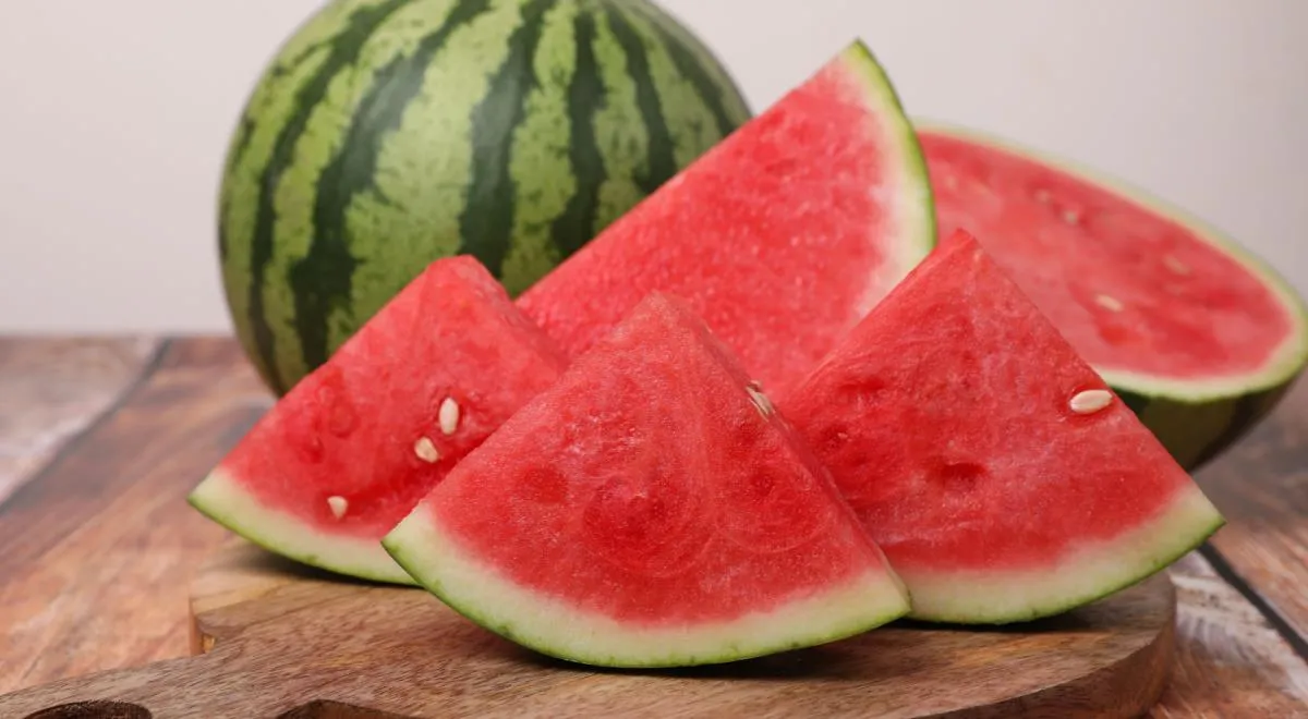 Ученые впервые вырастили арбузы на антарктической станции: какие они на вкус и сколько весят