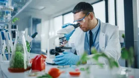 Почему в России не вводится запрет на ГМО: ученые сказали правду об улучшенных наукой продуктах