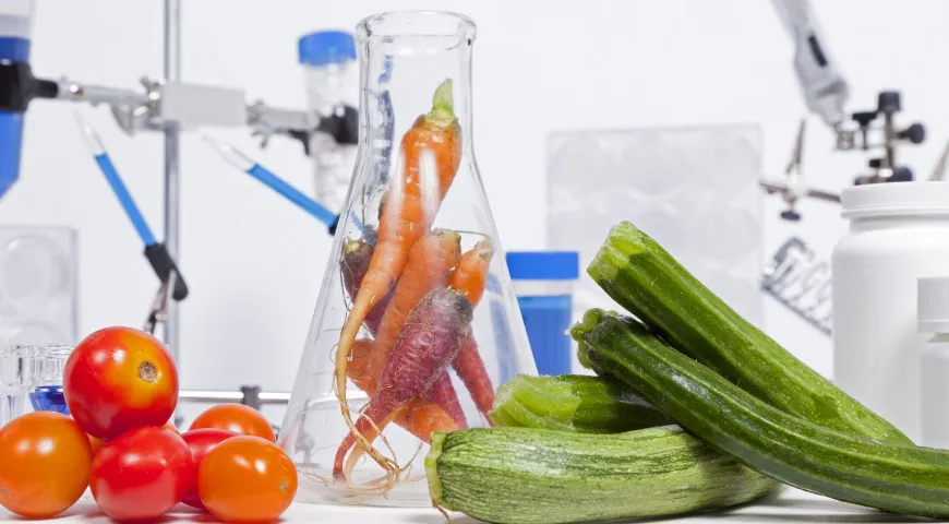 Наряду с другими овощными фрешами кабачковый сок используется в диетических программах при разных заболеваниях