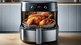 Курица в аэрогриле: 8 простых рецепты на каждый день — от крылышек до наггетсов