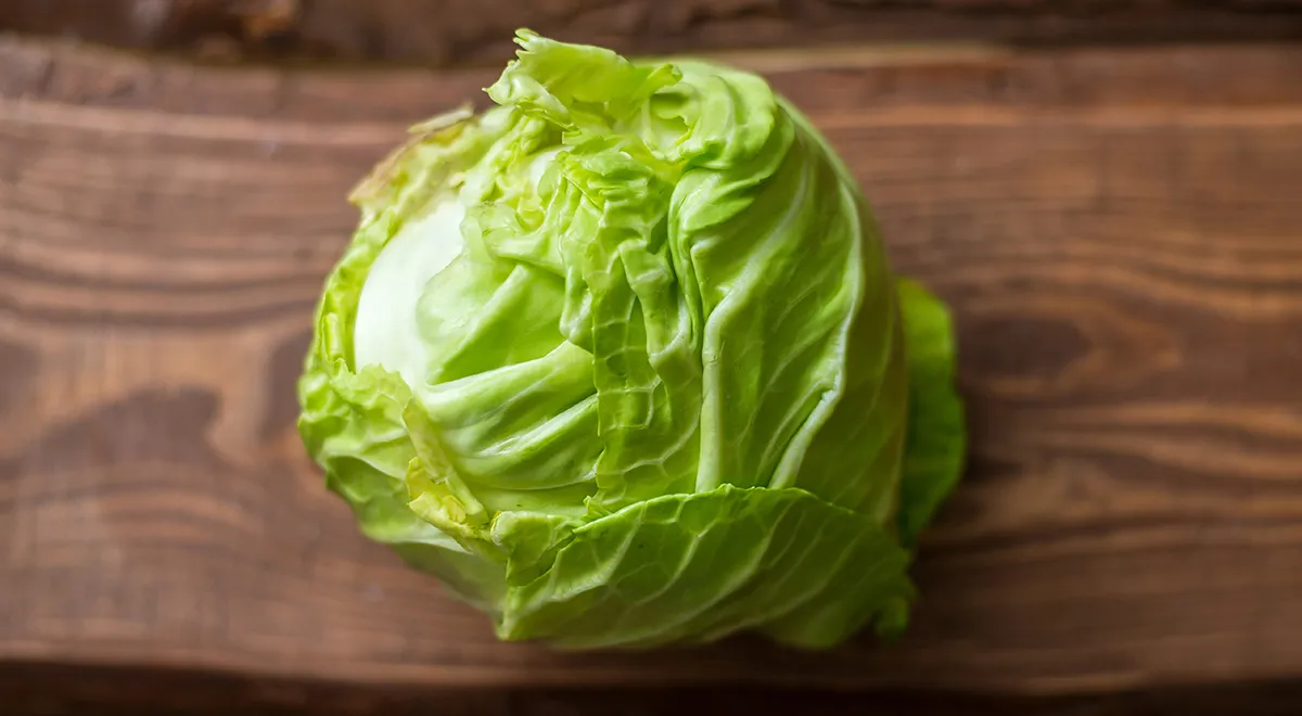 Быстрые и лёгкие блюда из молодой капусты