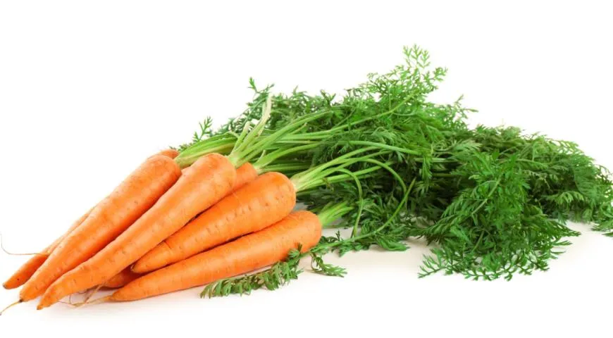 Морковь - описание продукта, как выбирать, как готовить, читайте наGastronom.ru