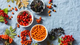 Диетолог предупредила о неожиданной опасности сезонных ягод