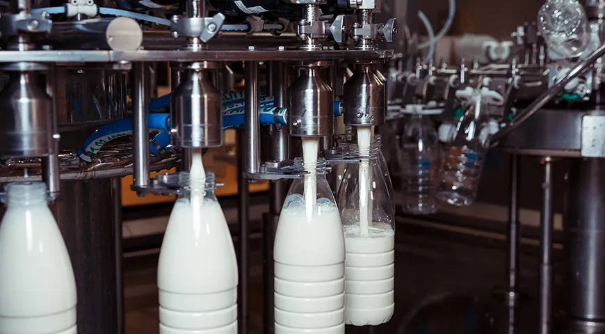 Перед тем как попасть на прилавки магазинов, молоко проходит специальную обработку, с помощью которой уничтожаются нежелательные микроорганизмы и увеличивается срок хранения