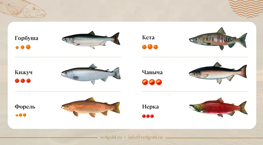 Красная лососевая икра