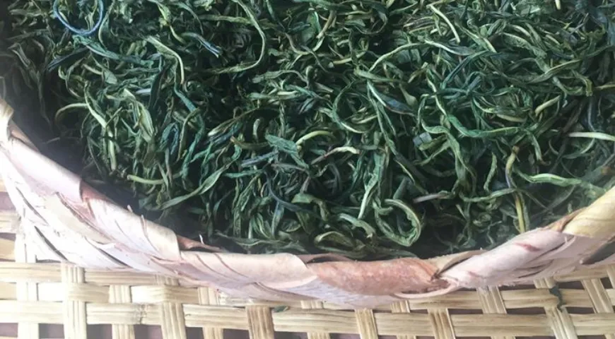 Листья кипрея уложены в берестяной короб для ферментации