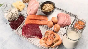 Где больше всего белка: полный список продуктов и наглядная таблица