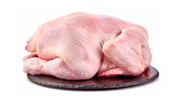 Цыпленок-бройлер