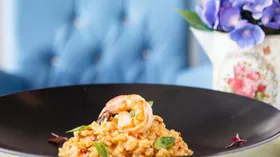 Рецепты с сырами, морепродуктами и вином