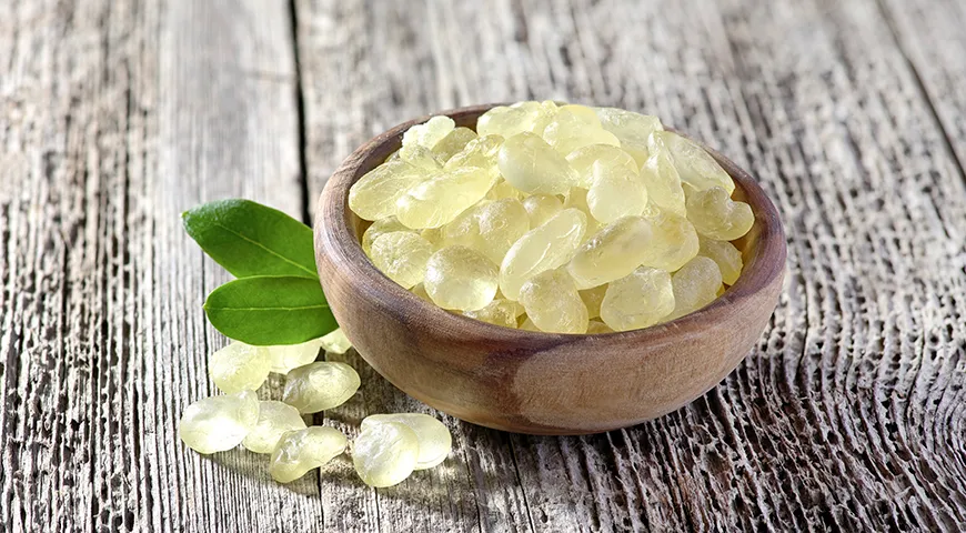 В Латинской Америке и Юго-Восточной Азии сохраняется традиция жевать природную жевательную основу — мастику