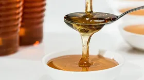 Рецепты с медом – грибы с медом, баранина в медовом соусе, жареные равиоли с рикоттой и медом