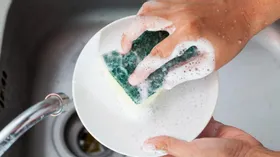 Кухонные губки – инкубаторы для бактерий, но это поправимо
