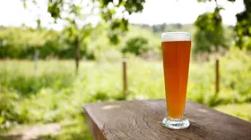 Зачем оставлять банку с пивом на садовом участке? Все опытные дачники так делают