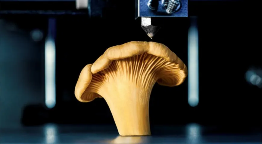 Будущее за 3D-печатью