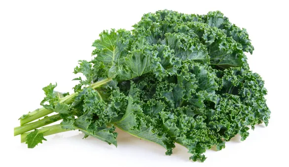 Капуста кале