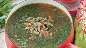 Суп из огородной зелени