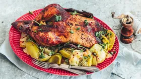 Рецепты новогоднего меню с абрикосом