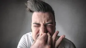 Совет дня: мужчины-аллергики, сбрейте усы и бороду