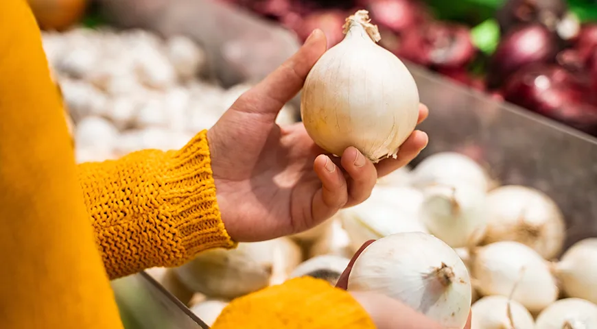 Качественный белый лук на ощупь — твердый, увесистый для своего размера, без пустот и мягких участков