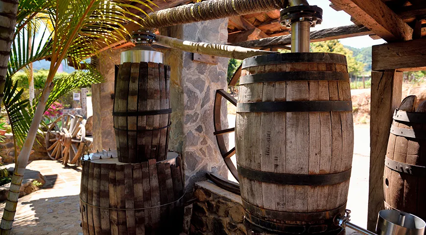 На этапе перегонки окончательно формируется аромат и вкус текилы