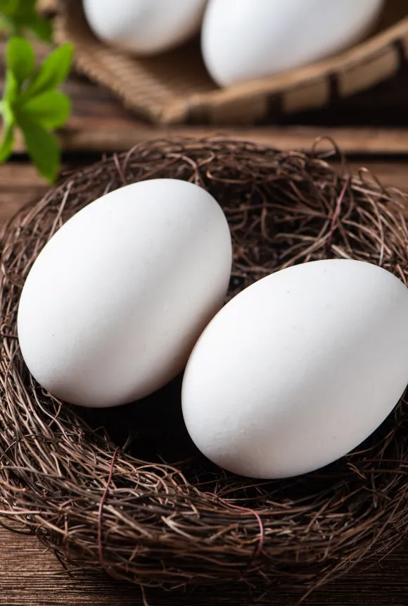 Гусиные яйца