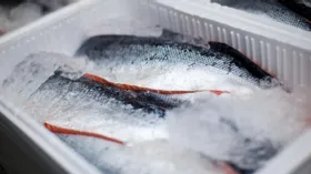 Как правильно хранить рыбу, чтобы в холодильнике не было запаха: советы опытных хозяек