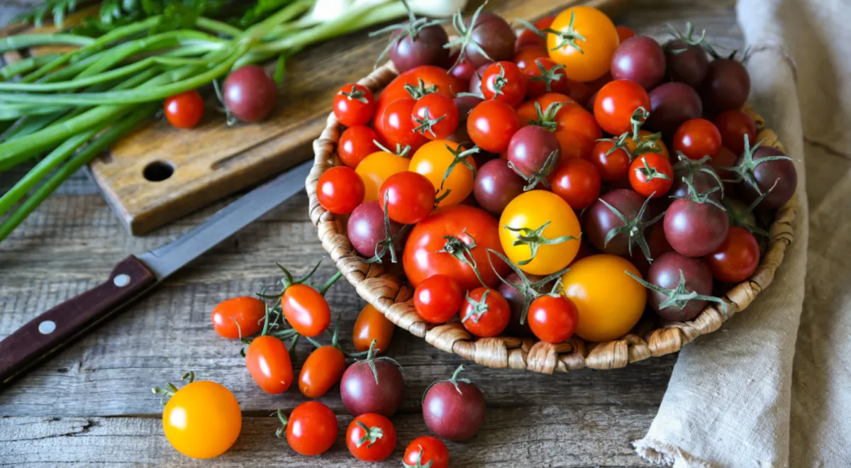 Разноцветные черри помидоры (видневидные) на столе, фото
