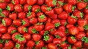 Ученые: всего одна ягода, сезон которой скоро наступит, может снизить риск развития деменции и болезни Альцгеймера