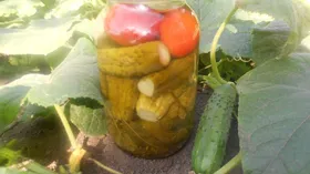 Рецепты на ужин с огурцом и хреном