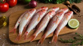 Барабулька (султанка)