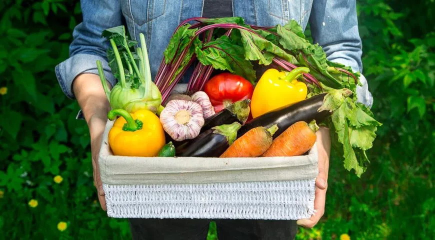 Ешьте овощи