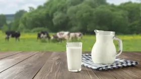 «Честный знак» расскажет россиянам о происхождении молока