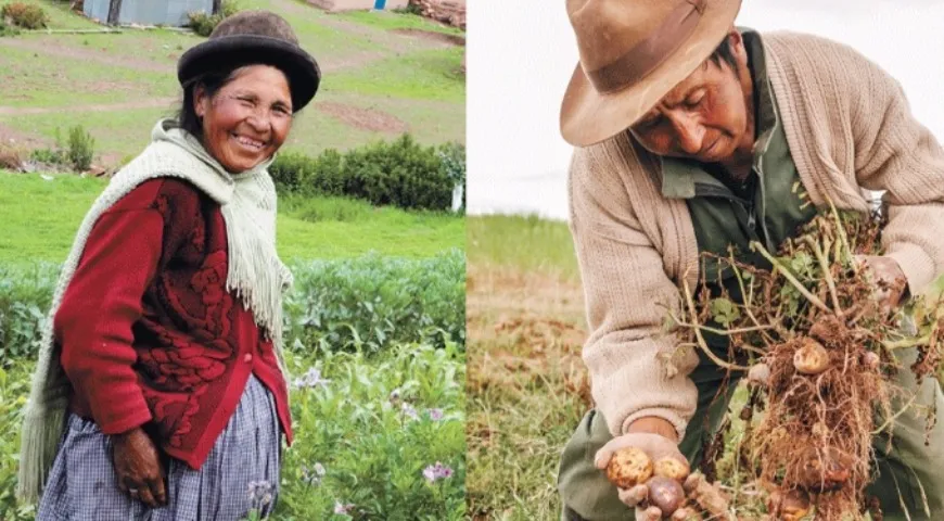 Боливийские фермеры