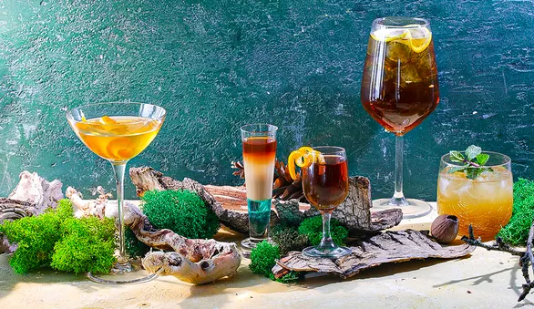 Биттер: что это такое, как использовать и 5 лучших коктейлей