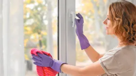 «А из нашего окна…» 5 подсказок, как добиться идеальной чистоты окон
