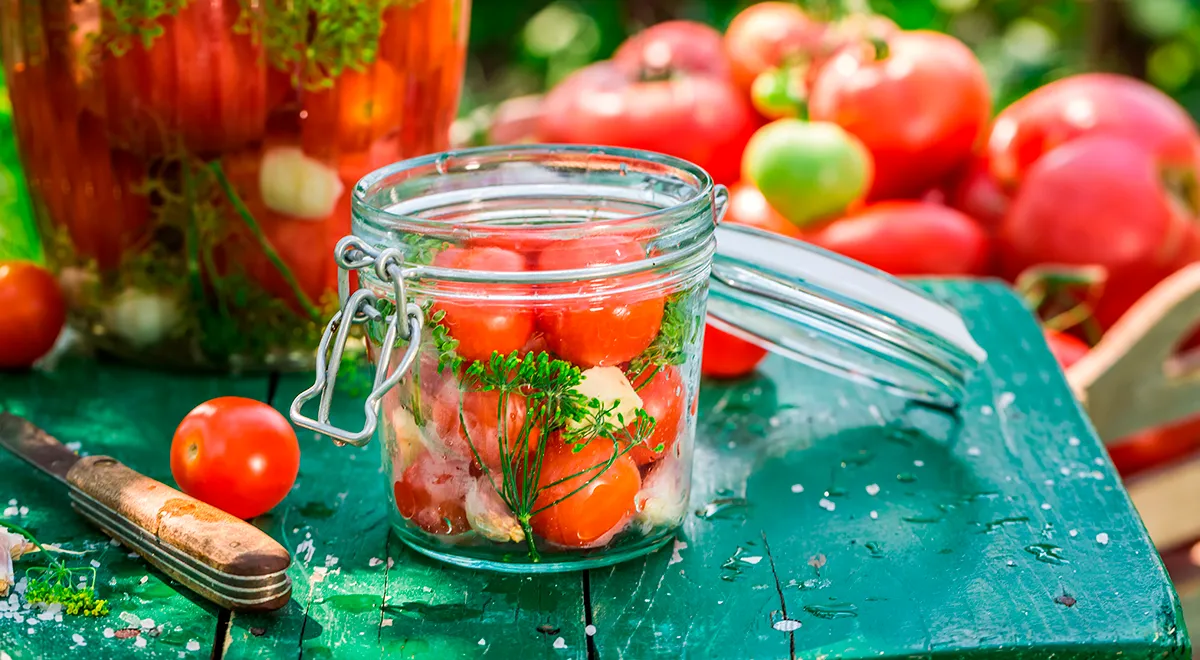 Как солить помидоры
