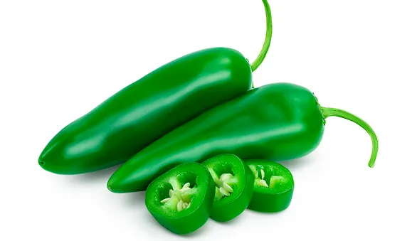 Перец халапеньо