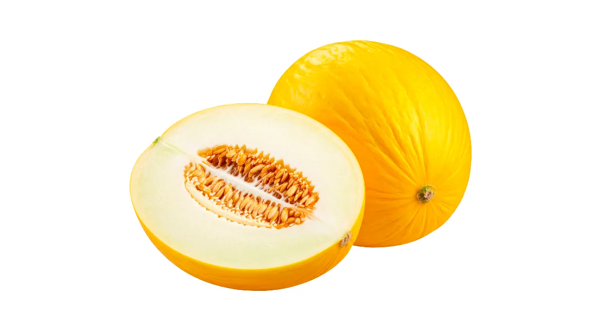Дыня Колхозница